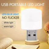 Portable USB Light for Room Mini USB Led Night Light Bulb Multipurpose USB Lighting Bulb - (pack of 2)